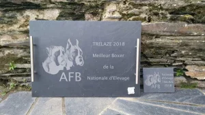 img plateau prix élevage meilleur boxer Trélazé 2018